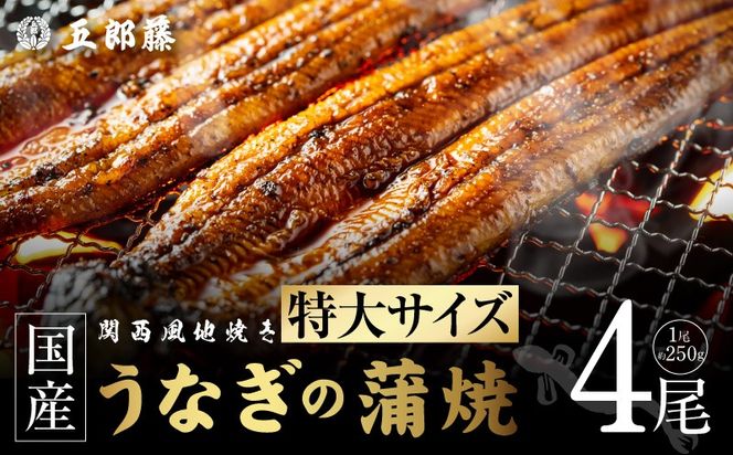 099H5088 国産有頭旨鰻 250g×4尾 特大サイズ【関西風地焼き 老舗 五郎藤 うなぎ 1kg 小分け unagi ひつまぶし 簡単調理】
