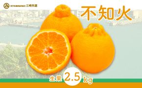 【先行予約】不知火（生果2.5kg）※離島への配送不可（2026年2月上旬～2月下旬頃に順次発送予定） IKTBD010