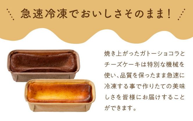 生ガトーショコラ＆チーズケーキセット N0153-YZB225