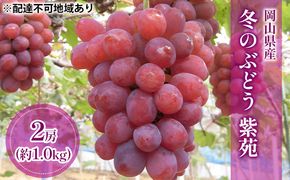 【2026年先行予約】 ぶどう 岡山県産 冬のぶどう 紫苑 （ 種無し ）約1.0kg（2房） 《2026年10月中旬-11月上旬頃出荷》 葡萄 ブドウ フルーツ 果物 数量限定 期間限定 岡山 里庄町 果物類 