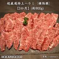 定期便 3ヶ月 厳選 特上 ハラミ (横隔膜) 各回合計約900g【雲龍焼肉たれ付】 雲龍  岡山県産 肉 お肉 牛肉 和牛 焼肉 牛ハラミ 3回 お楽しみ 
