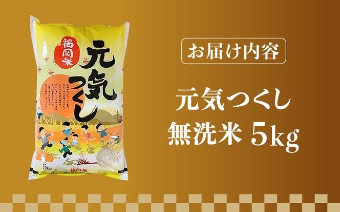 【令和5年産】福岡県産ブランド米「元気つくし」無洗米 5kg《築上町》【株式会社ゼロプラス】[ABDD002]