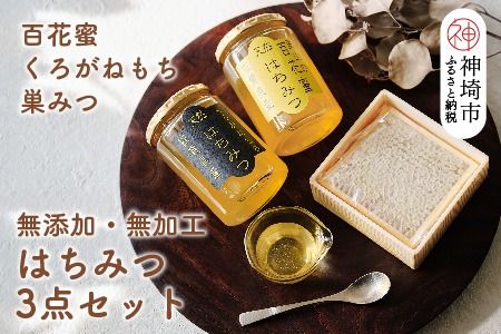 国産はちみつ(神埼産)百花蜜・くろがねもち450g×1 巣みつ 【贈り物 黄金色 自家製 疲労回復 美容 栄養 花の蜜 純粋 九州産】(H050125)