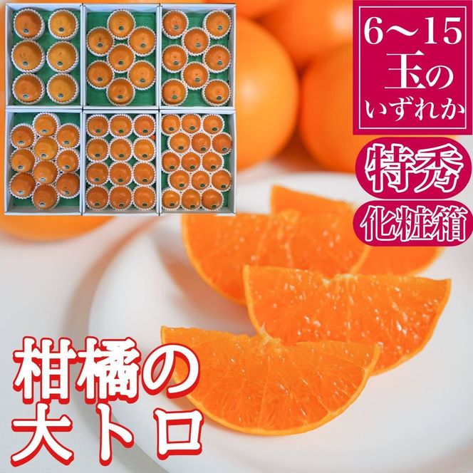 定期便 春に楽しむ ハウス せとか ＆ 木成 完熟 有田 はっさく 特秀 セット 全2回 南泰園 BS210