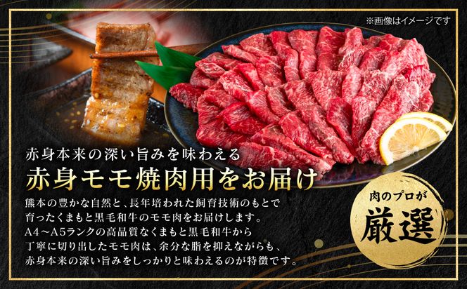 【A4～A5ランク】 くまもと黒毛和牛 赤身 モモ 焼肉用 500g （500g×1パック） 和牛 牛肉 お肉 黒毛和牛 冷凍 焼肉 BBQ おかず 熊本県 八代市