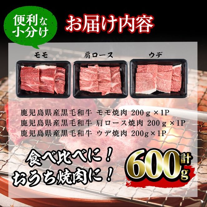 【焼肉3種！食べ比べセット】鹿児島県産黒毛和牛 モモ・肩ロース・ウデの焼肉3種セット＜計600g＞ a6-048