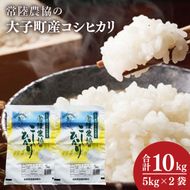 令和7年産　常陸農協の大子町産コシヒカリ5kg×2袋 計10kg｜茨城県 大子町 お米 白米 精米 こしひかり ふっくら もっちり コンテスト受賞（AH015）