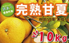 数量限定 先行予約 訳あり 木成り 完熟 甘夏 10kg 7000円 樹齢 50年 みかん あまなつ 夏みかん グレープフルーツ だいだい 家庭用 事前 予約 受付 産地直送 国産 農家直送 糖度 果樹園 期間限定 特産品 ゼリー マーマレード ピール ジュース デザート 等に 人気 甘い おいしい フルーツ 果物 柑橘 蜜柑 規格外 減農薬 あいなん総合ファクトリー 愛南町 愛媛県