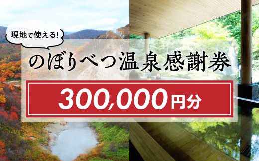 のぼりべつ温泉感謝券300,000円分 温泉 旅行 観光 北海道 チケット 温泉利用券 温泉券 のぼりべつ温泉感謝券 300000円 日本の名湯 登別温泉 カルルス温泉 ホテル登別国際観光 コンベンション協会 温泉旅館 温泉宿 温泉旅館 ホテル 温泉ホテル ふるさと納税 北海道 登別市