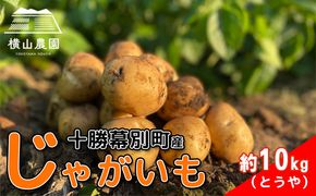 先行予約/2026年秋発送 北海道 十勝 幕別産 じゃがいも とうや 約10kg 【横山農園】 野菜 根菜 食材 煮崩れしにくい サラダ 煮込み料理 肉じゃが カレー シチュー 北海道のジャガイモ 