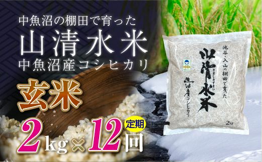 【定期便／全12回】玄米2kg　新潟県魚沼産コシヒカリ「山清水米」十日町市 米