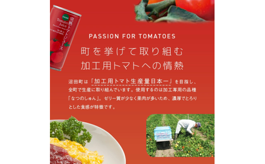 【定期便】契約農家が露地栽培した完熟トマトケチャップ（320g瓶×2本×6ヶ月）保存料 無添加 国産 北海道産 n-0222	
