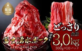 【9/1申し込みより冷凍発送！】訳あり！富士湧水ポークの切り落とし3.0kg　DM001_01