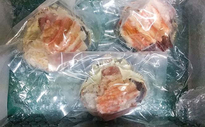 【配送日指定可】【数量限定】夫婦蟹 甲羅盛セット 松葉蟹 ほぐし身（大）※活き蟹（900g級）とコッペがに（中サイズ3個）
