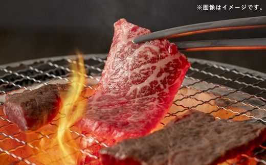 【定期便3ヶ月】【特選焼肉用500g】くまもとあか牛〈GI認証〉- 肉 お肉 牛肉 くまもとあか牛 あか牛 和牛 焼肉 霜降り 特選 厳選 GI認証 冷凍 国産 九州産 熊本県産 熊本県 甲佐町