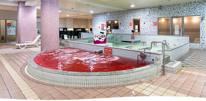 スパランド ホテル内藤 入館券 1回分 254-001