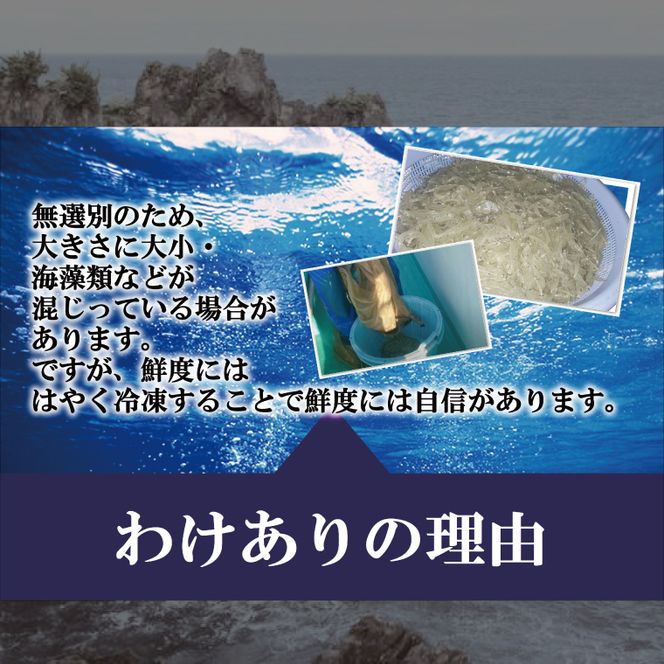 【訳あり】瞬間冷結！刺身用生しらす 200ｇ×5パック【大津港産】【シラス しらす丼 新鮮 魚介 瞬間冷凍 冷凍保存 長期保存 小分け 北茨城市 茨城県】（AA212）