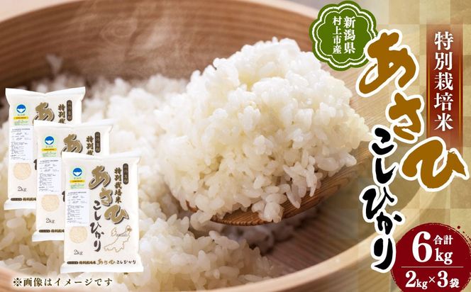 A4033 【令和6年産米】新潟県村上市産 特別栽培米 コシヒカリ 6kg