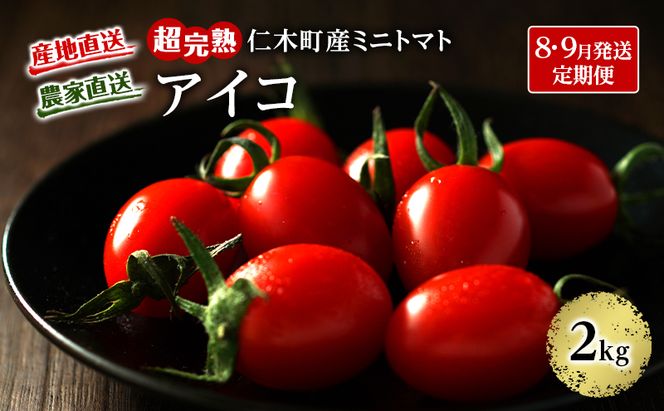 8・9月 2回発送[先行受付] 超完熟ミニトマト【アイコ】2kg（1kg×2箱）栽培期間中 農薬・除草剤不使用 サイズ混載 トマト ミニトマト アイコ 野菜 定期便 北海道 仁木町 [アイコファーム]