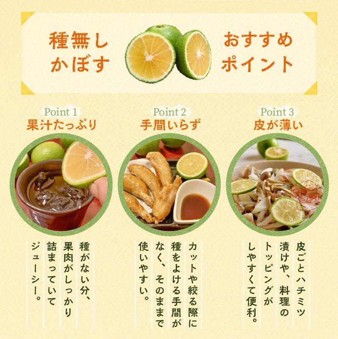 【令和8年9月発送】朝霧立ち込める里からお届け！徳丸農園 種無しかぼす約1.8kg_2177R