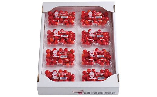FYN6-529 ≪2026年先行予約≫山形県産 さくらんぼ 品種おまかせ(佐藤錦・紅秀峰など) 1.44kg(180g×8P) 秀 L以上 フードパック詰め 2026年6月中旬頃より発送 果物 くだもの フルーツ サクランボ チェリー 家庭用 自宅用 産地直送 山形県 西川町 月山