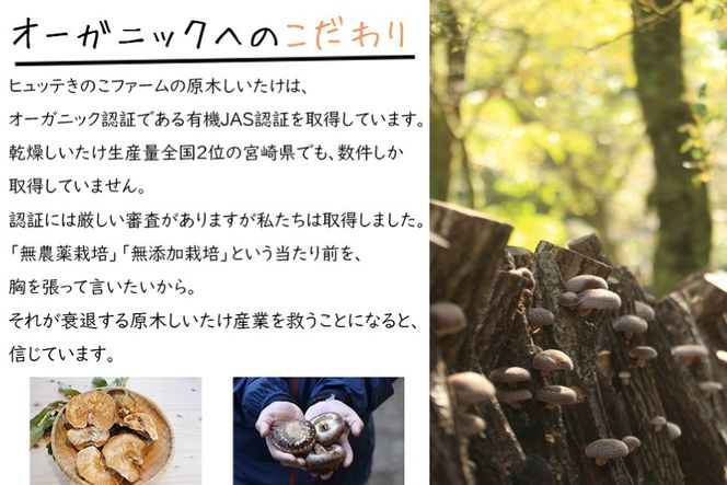 しいたけ 乾燥 ひとくち どんこ 30g [HUTTE 宮崎県 美郷町 31ao0021] 椎茸 シイタケ 乾燥しいたけ お節 煮物