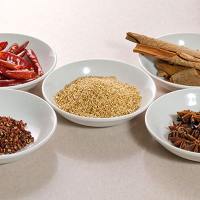 《定期便》2人前×3ヶ月 地域で大人気なお店の 担々麺 食べ比べセット（小分け 詰合せ ラーメン 生麺） 麺類 具材付き 