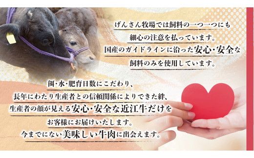 【げんさん】【A5ランク】近江牛 究極の赤身 モモすき焼用400g【DG23W】