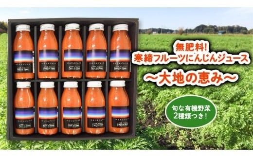 寒締 フルーツ にんじんジュース ～大地の恵み～旬な 有機野菜2種類つき！ ジュース 有機 無農薬 無化学肥料 JAS認定 おまかせ にんじん レインボーフューチャー [AL002ci]