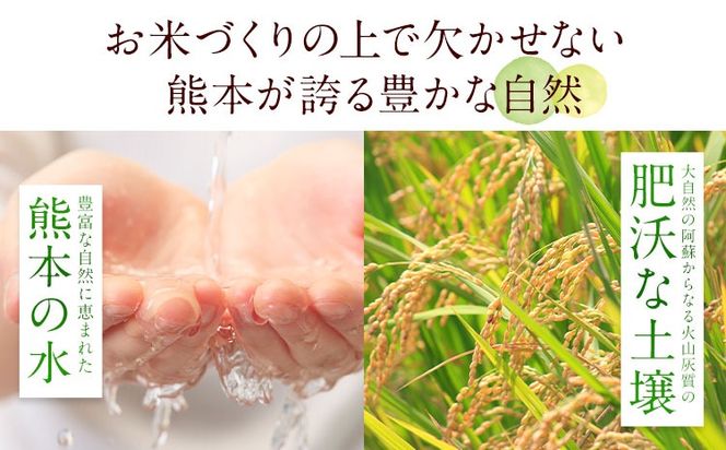 【2ヶ月定期便】熊本ふるさと無洗米 10kg 訳あり 《お申込み翌月から出荷》米 コメ こめ 熊本県産 米 ふるさと納税 わけあり 以上のお米ならこれ お米 おこめ 熊本 むせんまい kome musennmai 定期便---mifune_lcl_939_mo2---