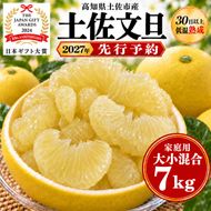 土佐文旦 大小混合 7kg 家庭用 大玉と小玉の詰め合わせ 日本ギフト大賞受賞 文旦発祥の地 園主こだわり 食べ比べ 高知県土佐市産 高知県産 国産 7キロ ぶんたん ブンタン みかん 柑橘類 高級フルーツ 果物 産地直送 お取り寄せ ギフト 季節限定 先行予約 やの一果彩[BQAC014]