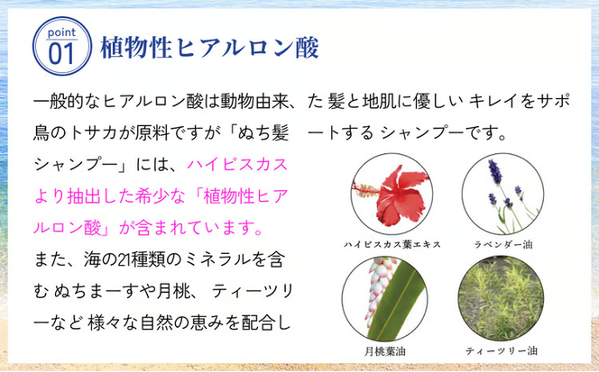 塩とハイビスカスのシャンプー「ぬち髪」×12本（1年分）　ハイビスカス　ノンシリコン　ノンシリコンシャンプー　シャンプー　ぬちまーす　ヒアルロン酸　植物性ヒアルロン酸　うるおい　潤い　ハリ　コシ　塩　パラベンフリー　月桃　艶　ティーツリー