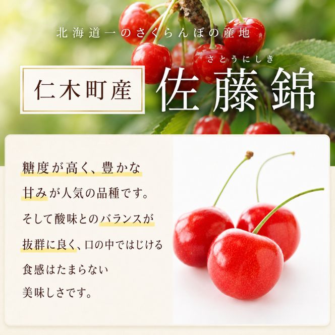 2027年発送 北海道 仁木町産 さくらんぼ 佐藤錦 180g×2P Lサイズ   サクランボ チェリー フルーツ 果物 果物類 仁木町 仁木 [林果樹園]
