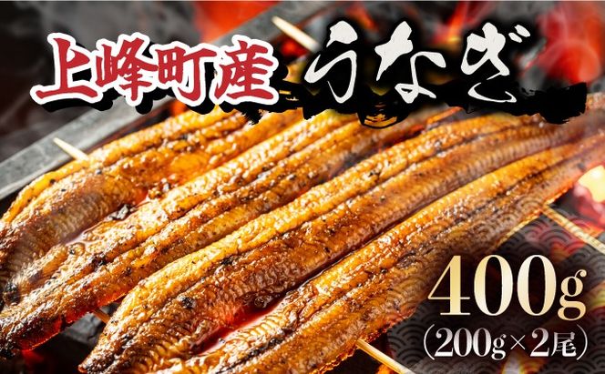 yꌧzD-632-PE YȂ200g×2