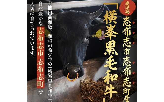 月間25セット限定！【数量限定】鹿児島県志布志市産横峯黒毛和牛のモツ鍋セット(4～5人前) a3-211