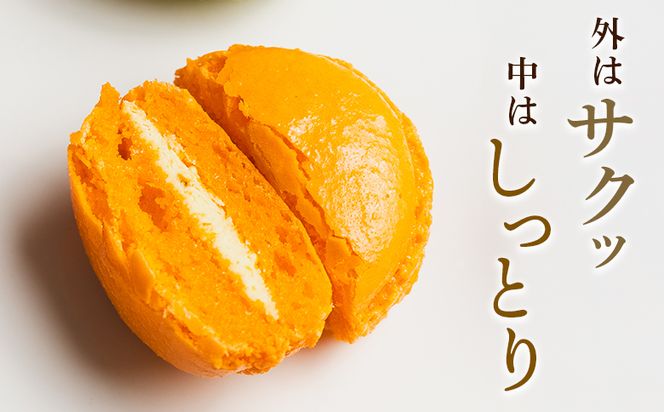 マカロンギフト 12個入 - マカロン まかろん 贅沢 食べ比べ 洋菓子 お菓子 ティータイム ご褒美 贈り物 お土産 プレゼント おやつ スイーツ デザート かわいい セット 詰め合わせ 詰合せ ギフト 菓子工房コンセルト 高知県 香南市 冷凍 kn-0045