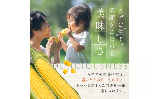 ［2026年先行予約］牛窓産とうもろこし まるでフルーツ！最高糖度25度超え 生で甘い、茹でて美味い！ 黄色 とうもろこし 「桃太郎コーン」約4kg（8～12本入り） 野菜[№5735-0982]