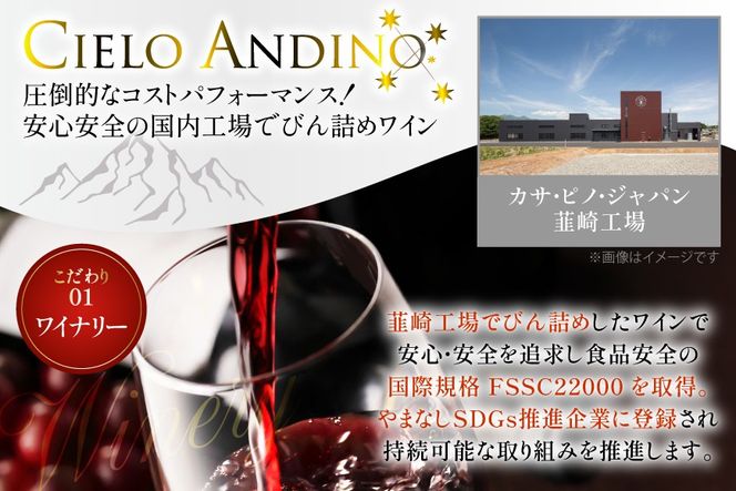 ワイン 赤 シエロアンディーノ・レッド 720ml 12本 セット [カサ・ピノ・ジャパン 山梨県 韮崎市 20745347] ワインセット 山梨 酒 お酒 赤ワイン アルコール ぶどう 果実酒