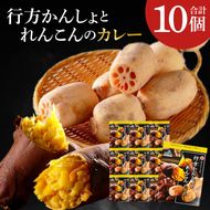 ～GI登録「さつまいも」使用～行方かんしょとれんこんのカレー(200g×10個)｜カレー レトルト レトルトカレー ご当地 ご当地カレー 人気 オススメ 便利 特産品 地元特産品 茨城県 行方市(AE-144)