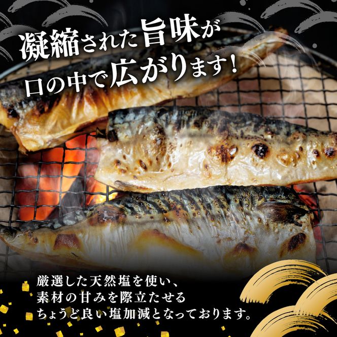 訳あり塩サバ フィレ750g