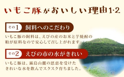 【6回定期便】豚肉 宮崎県産 いもこ豚 しゃぶしゃぶ セット 2.1kg × 6回 合計 12.6kg しゃぶしゃぶ用 切り落とし 小分け 豚 豚バラ ロース 肩ロース スライス 小間切れ 鍋 鍋用 国産 九州産 宮崎 ブランド 冷凍 送料無料
