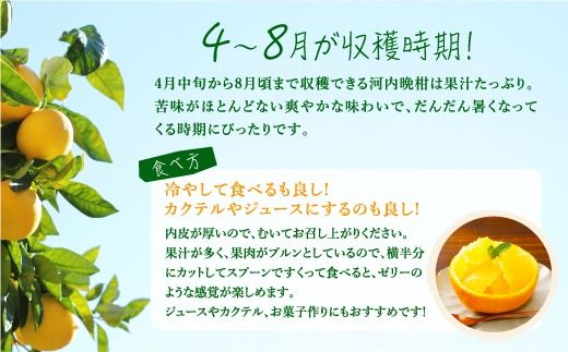 【先行予約】見た目だけが訳あり！吉本農園の木取り完熟愛南ゴールド（河内晩柑）約5kg＜柑橘 希少 果物 国産 フルーツ みかん 蜜柑 訳あり 家庭用 和製 グレープフルーツ ブランド 果実 ビタミン 愛媛県 鬼北町 ＞ ※2025年4月上旬～8月上旬頃に順次発送予定