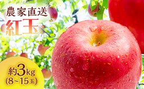 サイキチ農園 紅玉 約 3kg (8～15玉) 青森県鰺ヶ沢町産 りんご リンゴ  フルーツ 果物 果物類 林檎 