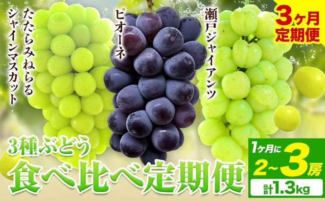 【先行予約】3ヶ月 定期便 食べ比べセット たたらみねらる シャインマスカット 瀬戸ジャイアンツ ピオーネ 2〜3房(計1.3kg)《2026年8月下旬-10月下旬頃出荷予定》岡山県 笠岡市 マスカット ぶどう ブドウ 葡萄 フルーツ 果物 たたらみねらる 食べ比べ セット---Y-09---