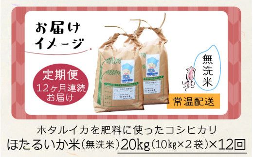 【訳あり】ほたるいか米（無洗米20kg）×12回 計240kg【12ヶ月定期便】