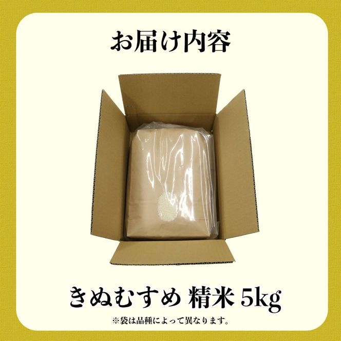 新米 米 きぬむすめ 5kg 農家直送 特別栽培米 精米 令和7年度産 お米 新生活 贈り物 人気米 ご飯 白米 コメ 贈答 静岡県 藤枝市