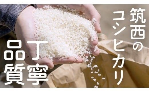 【 選べる お届け回数 】【訳あり】 再生 二期作 コシヒカリ 精米 5kg ＆ つきあかり 精米 5kg 令和7年産 再生二毛作 米 お米 コメ 白米 茨城県 新生活 応援 定期便 [EX011ci00]