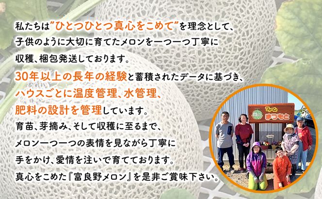 【2027年秋発送】厳選ふらのメロン [秋メロン] 赤肉 1玉（2.0～2.5kg）糖度15度以上 [ファームまつもと] メロン 赤肉メロン フルーツ 果物 新鮮 甘い 贈り物 ギフト ブランドメロン 秋 北海道 富良野