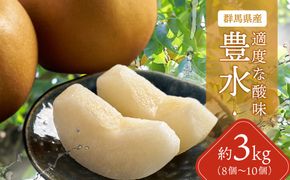 【先行予約】群馬県産梨「豊水」約3kg(8～10個)【9月上旬～9月中旬発送予定】ANAH005