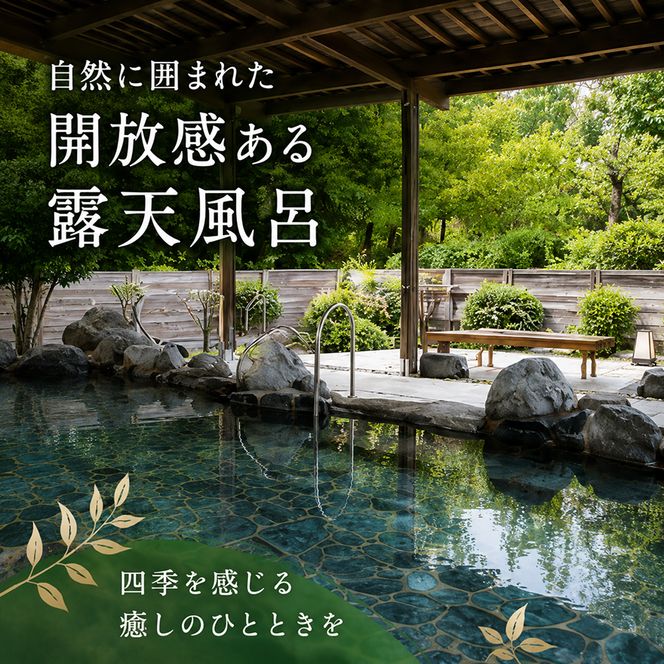 池田温泉 大人回数券1冊 (11枚つづり) チケット 温泉利用券 